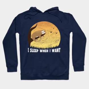 I Sleep When I Want, Funny Sloth Saying Hoodie